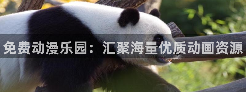 囧次元动漫app：免费动漫乐园：汇聚海量优质动画资源