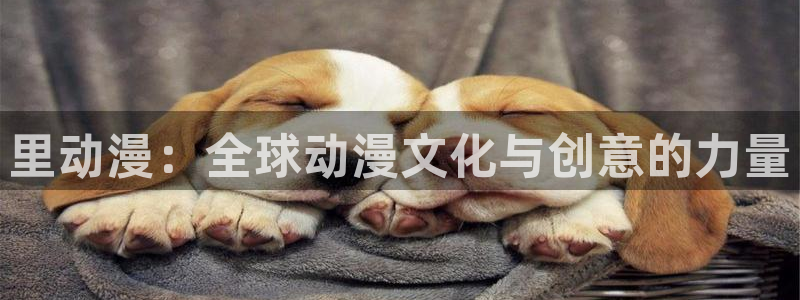 囧次元官方正版app下载：里动漫：全球动漫文化与创意的力量