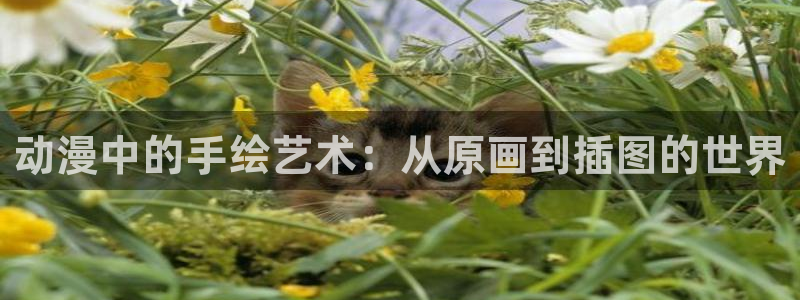 囧次元老版本：动漫中的手绘艺术：从原画到插图的世界