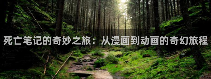 囧次元无广告：死亡笔记的奇妙之旅：从漫画到动画的奇幻旅程