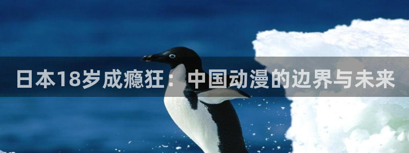 囧 次 元：日本18岁成瘾狂：中国动漫的边界与未来