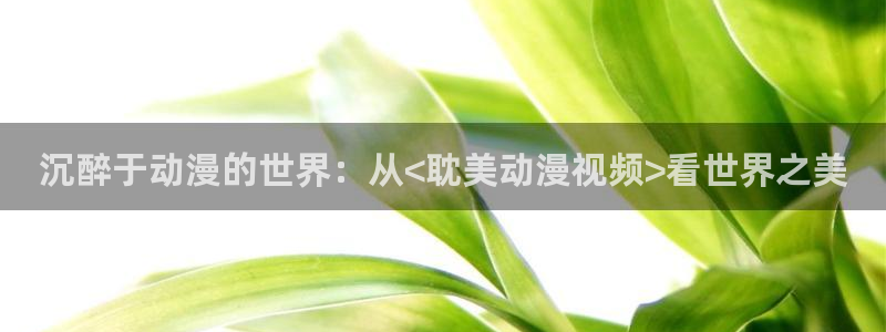 囧次元下载最新版本：沉醉于动漫的世界：从<耽美动漫视频>看世界之美