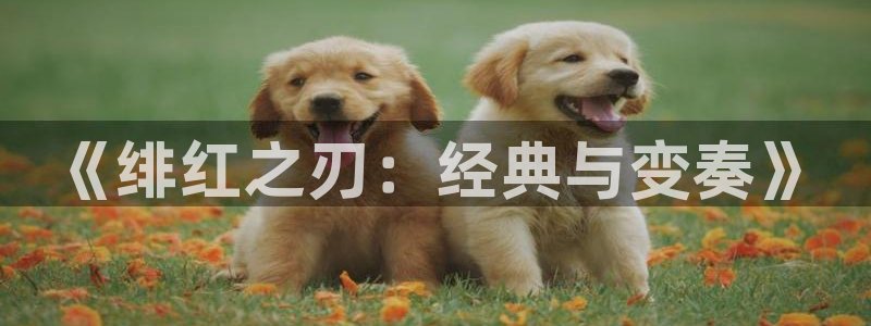 囧次元官方最新版：《绯红之刃：经典与变奏》