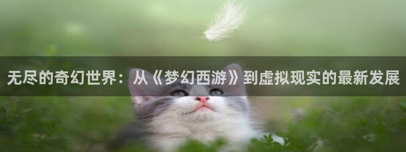 囧次元官方网：无尽的奇幻世界：从《梦幻西游》到虚拟现实的最新发展