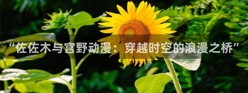囧次元动漫官方正版：“佐佐木与宫野动漫：穿越时空的浪漫之桥”