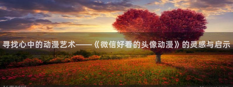 囧次元网站：寻找心中的动漫艺术——《微信好看的头像动漫》的灵感与启示